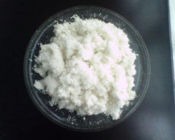 晨鳴集團將在湖北黃岡升級打造世界一流漿紙生產基地