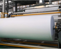 2020中國實體經濟排行榜TOP300 造紙版塊占據五席