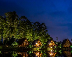 9個交易日6次提示風險 “著火”的宜賓紙業還能燃多久