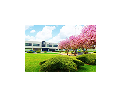 金紅葉攜手蘇寧家樂福開啟全渠道戰略合作