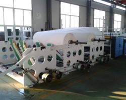 譚丕創(chuàng)與金光集團(tuán)大紙事業(yè)部CEO王樂(lè)祥一行座談