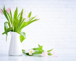 母嬰行業(yè)迎“卡位”戰(zhàn)，紙尿褲商家都在關(guān)注哪些增長(zhǎng)信號(hào)？