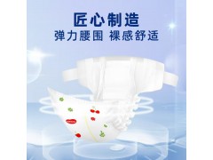 嬰兒拉拉褲 紙尿褲