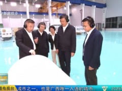 廣西壯族自治區黨委常委、南寧市委書記許永錁深入太陽紙業南寧園區調研指導