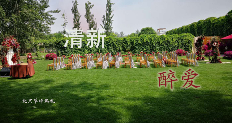 北京個(gè)人草坪婚禮策劃：清新醉愛(ài)