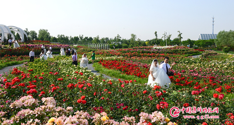 北京集體婚禮:2019年10月1日第29屆“愛情海”集體婚禮